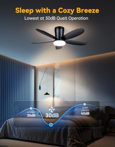 Low Profile Ceiling Fan with Light (Black)