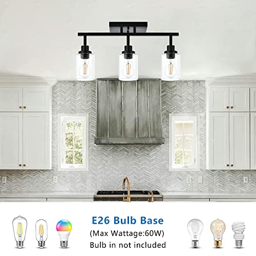 3 Light Bathroom Vanity Light Black with Rotatable Track Head (Black / 3-Light)