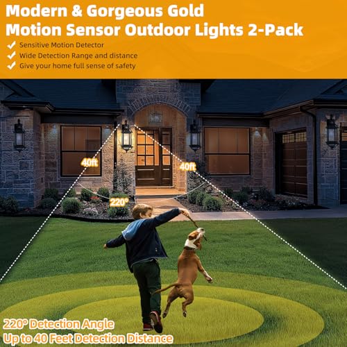 Motion Sensor Porch Lights Dusk to Dawn 19 Inch Large (Modern Matte Black / Motion Sensor)