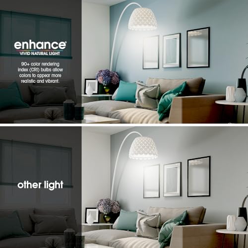 LED Light Bulbs (A21 - 4 Pack)