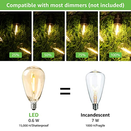 S14 Outdoor String Lights (50 ft S14)