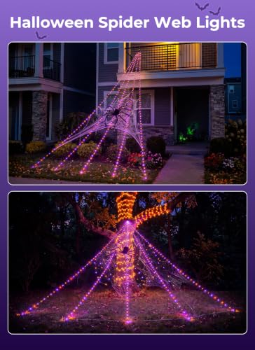 Halloween Spider Web Lights
