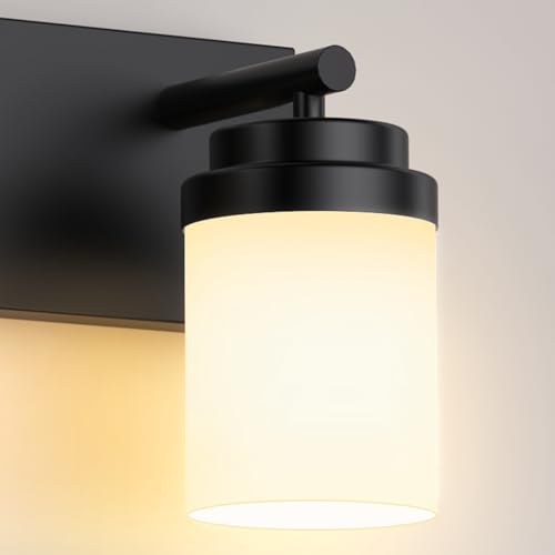 Bathroom Vanity Light Fixture