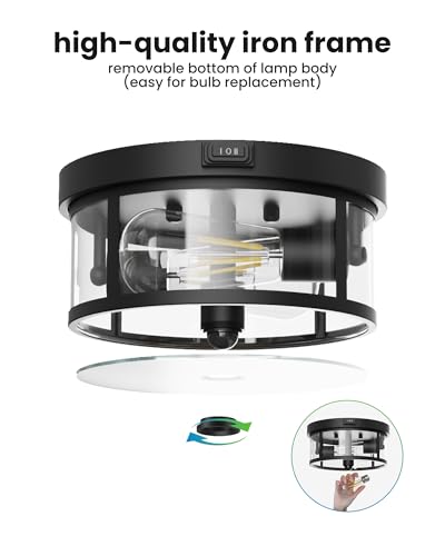Outdoor Flush Mount Ceiling Light (12.5Inch / 1Pack)