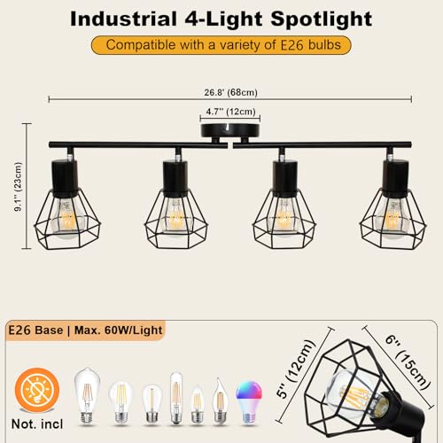 4 Light Track Lighting Farmhouse (4-Light)