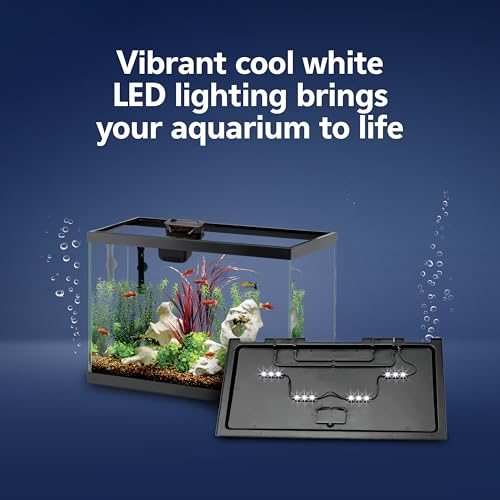 Aquarium Starter Kit with Smart Clean Filtration and LED Lighting (Black / 20 Gallon)