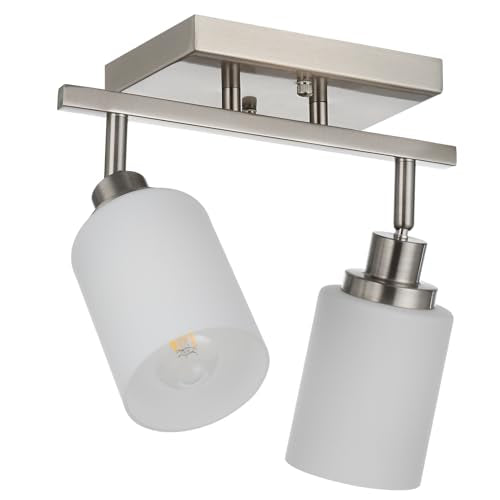 2 Light Track Light Fixtures Wall Sconce Lighting (Brushed Nickel / 2-Lights)
