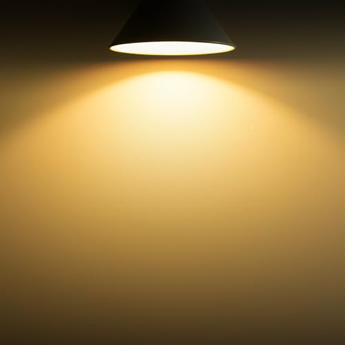 A19 Vintage LED Edison Bulbs