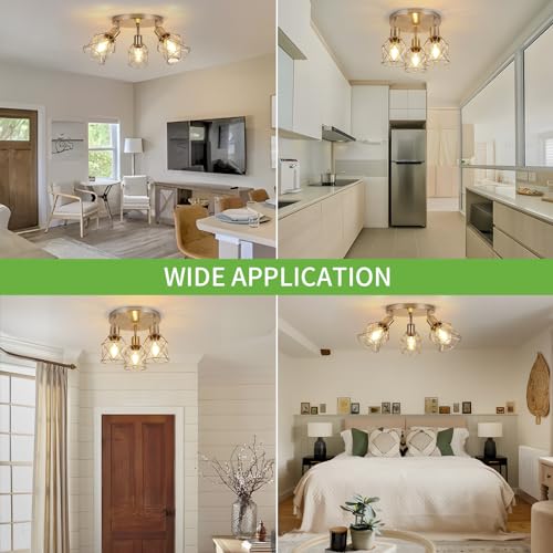 3 Light Track Lighting Fixture Ceiling Light Kitchen Brushed Nickel (Brushed Nickel / 3-Light-Cage)