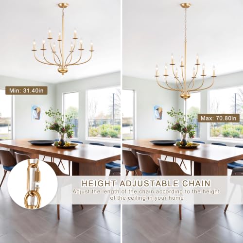 9 Light Gold Chandelier for Dining Room Light Fixtures (Gold / 9-Light 30")