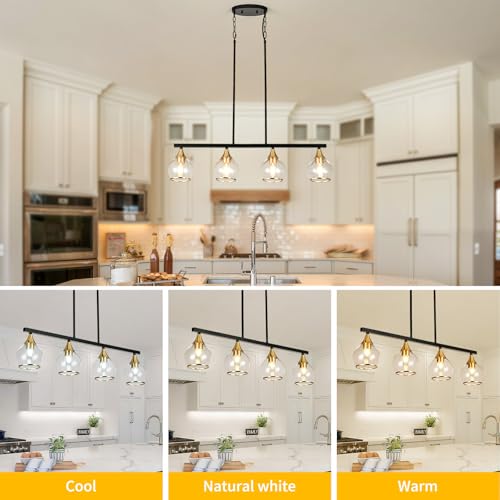 Island Light for Kitchen (Black and Gold / 4-Light)