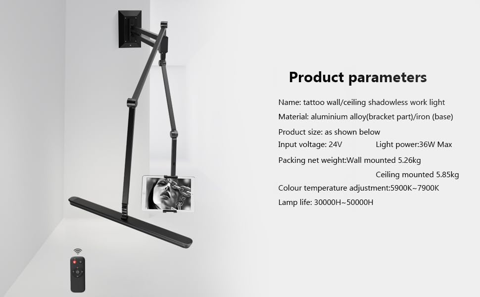 Wall mounted Tattoo Light