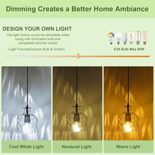 2 Pack Black Hammered Clear Glass Pendant Light (Black-2Pack)