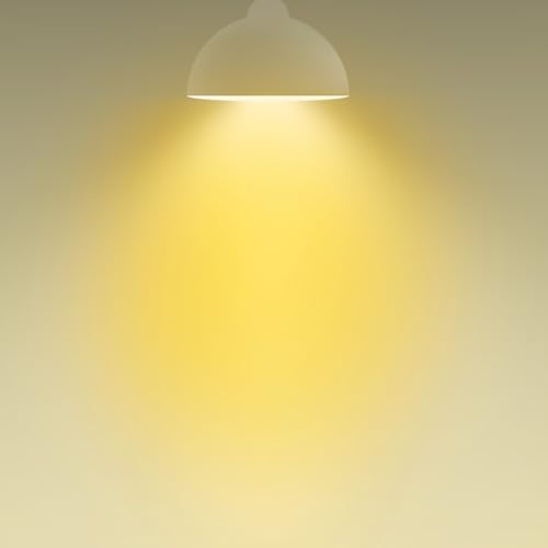 BR30 LED Light Bulbs Indoor Flood Light 65W Equivalent
