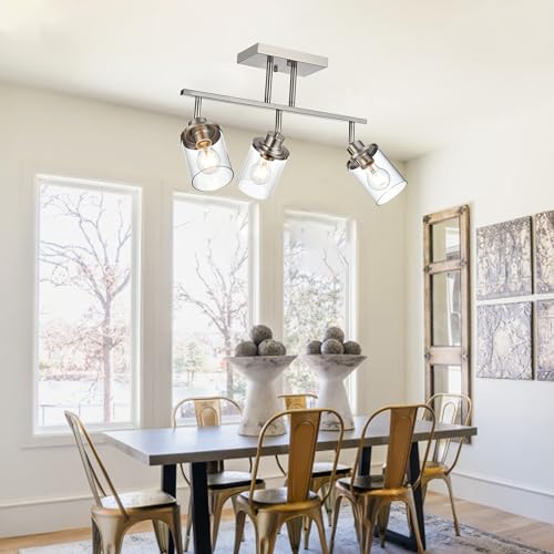 Track Lighting Fixtures 3 Light Directional Ceiling Lights with Adjustable Track Heads (Brushed Nickel / 3-Light)