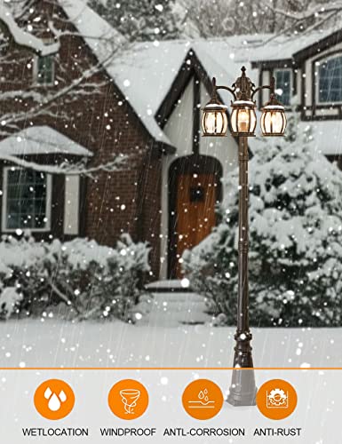 Outdoor Light Fixture