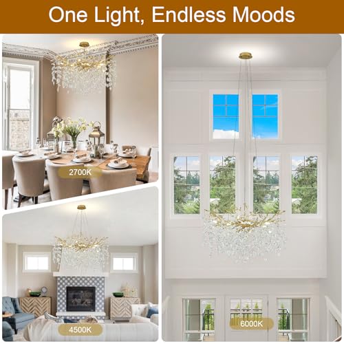 Modern Crystal Chandelier (Gold / A-D31.5 Inch)