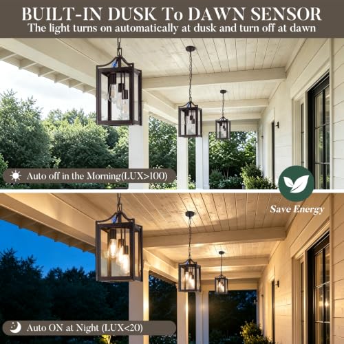 Outdoor Pendant Lights for Porch (Oil-Rubbed Bronze / Large-Clear Glass)