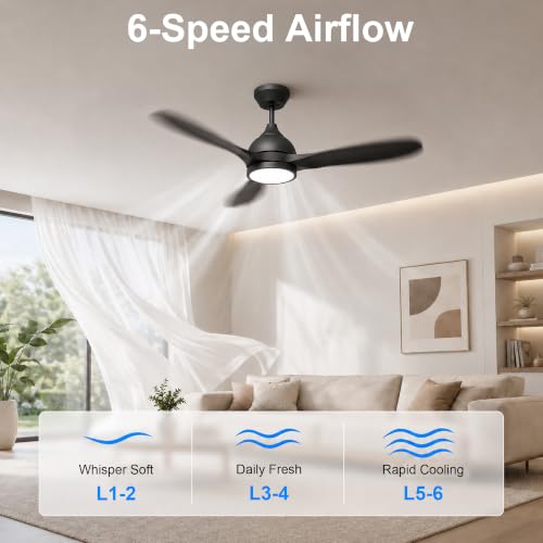 Ceiling Fan with Light