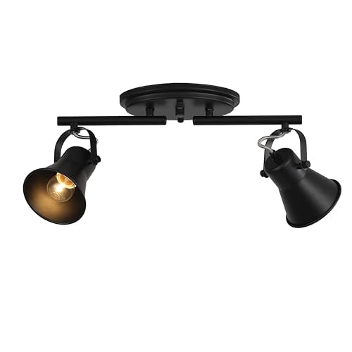 2 Light Track Lighting Kit (2-Light / Black)