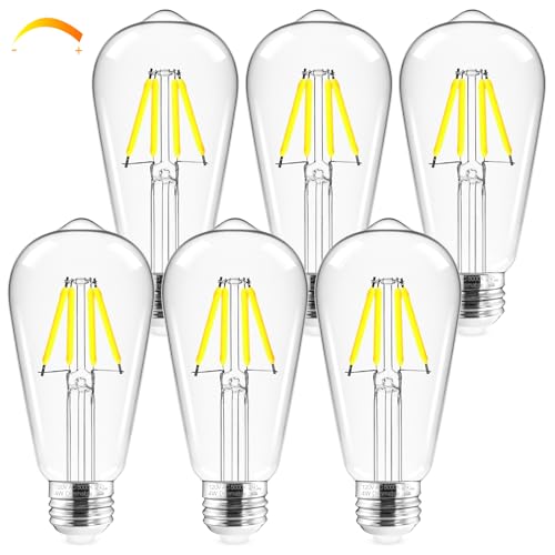 Edison Bulbs Dimmable (Daylight White)