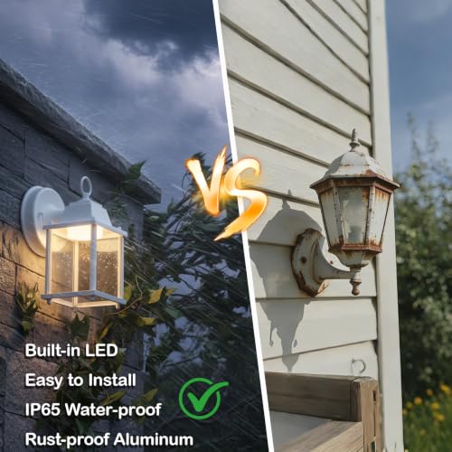 Outdoor Wall Light Fixture (3000K White / 2-pack)