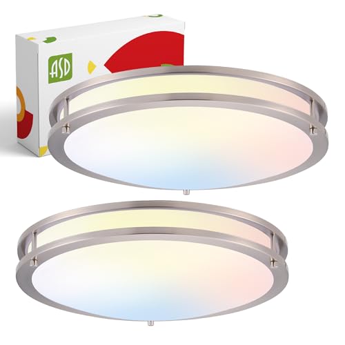 LED 18" Round Flush Mount Lighting (Brushed Nickel)