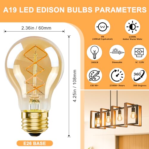 A19 Vintage LED Edison Bulbs