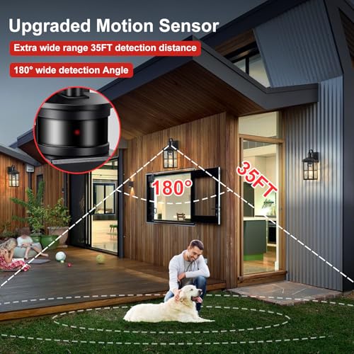 Porch Lights Outdoor with Remote (1 Black RW)