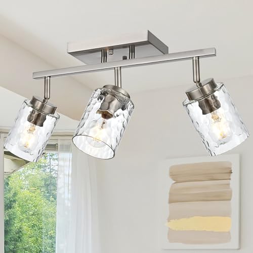Track Lighting Fixtures Ceiling (Brushed Nickel / 3 Lights)