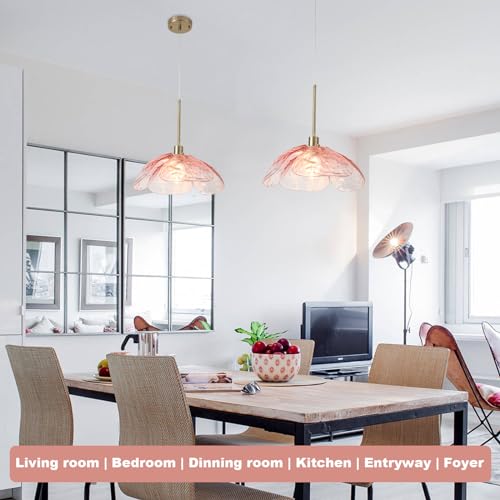 Farmhouse Pendant Hanging Light Fixture for Dining Room Foyer Hallway Bar Cafe Kitchen