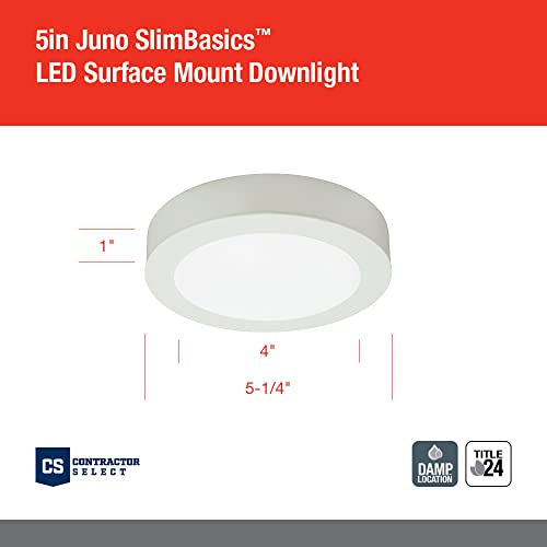 Slim Basics LED Ceiling Light