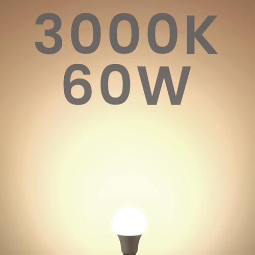A19 LED Light Bulbs
