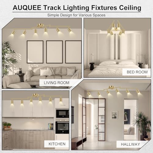 6 Light Track Lighting Fixtures Ceiling (6 light gold)