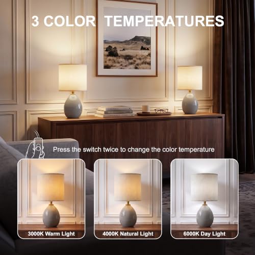 17.7" Ceramic Table Lamps Set of 2 for Living Room Bedroom (Gray)