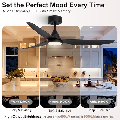 54 Inch Ceiling Fan with Lights (Black / 54 inch)