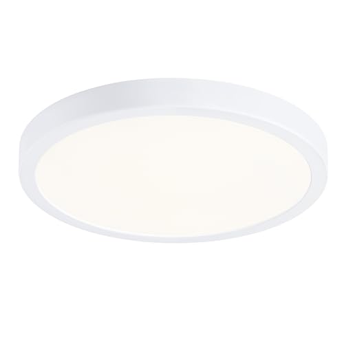 10 Inch LED Flush Mount Ceiling Light Fixture