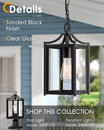 Outdoor Pendant Lights for Porch (Black / Small-Clear Glass)