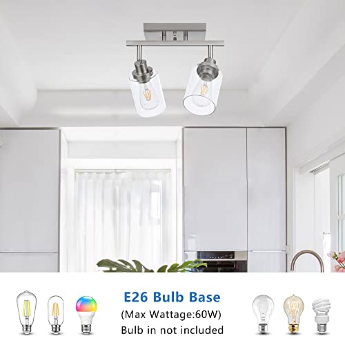 2 Light Rotatable Track Lighting Kit Spotlight Brushed Nickel (Brushed Nickel / 2-Light)