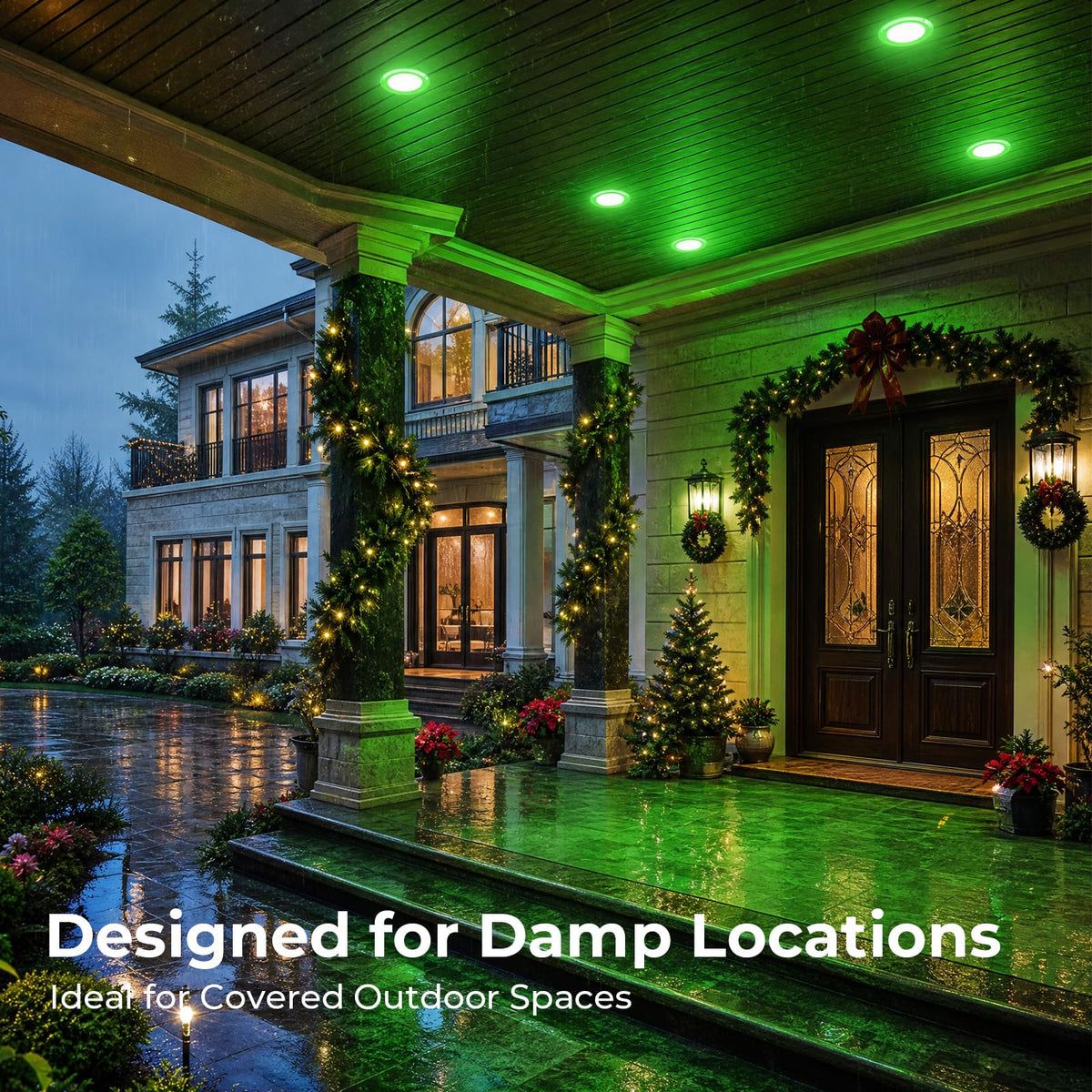 PAR38 Dimmable Green Light Bulb (Green / 2 Pack)