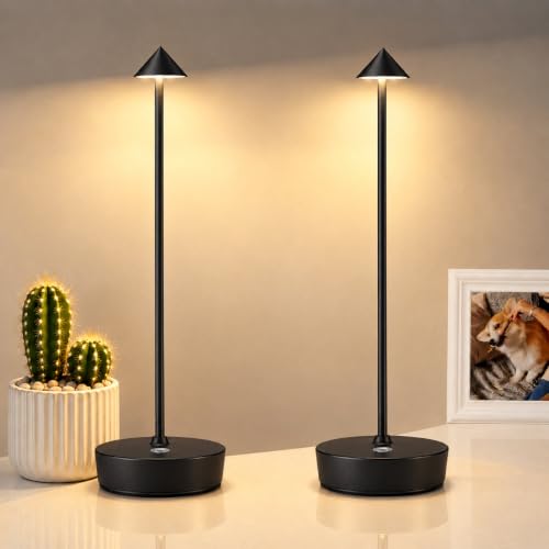 Set of 2 LED Cordless Table Lamp (2Pack Black)