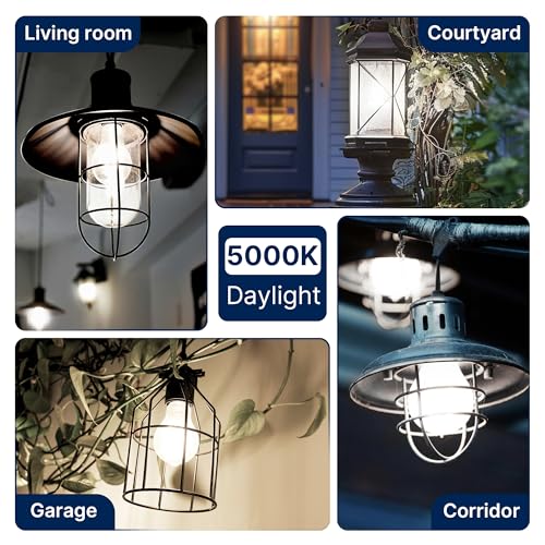 150W Eqv Dimmable A23 LED Bulbs (150w 5000k Daylight / 8 Count (Pack of 1))