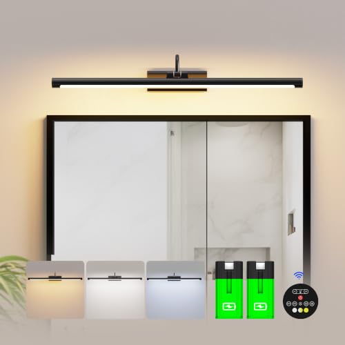 Modern Bathroom Vanity Light 24 inch Black
