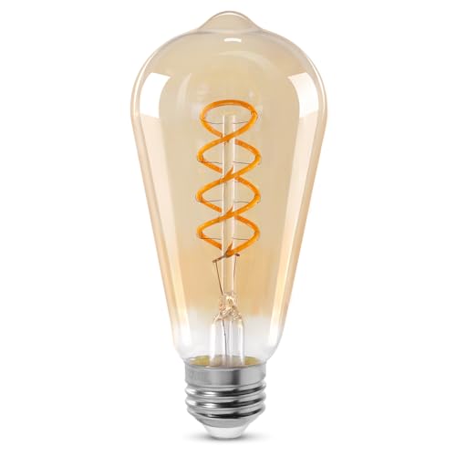 Vintage Edison LED Bulb