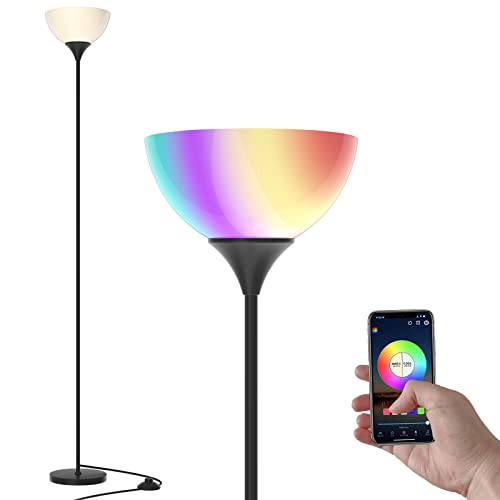 RGB Floor Lamp (Matte Black RGB)
