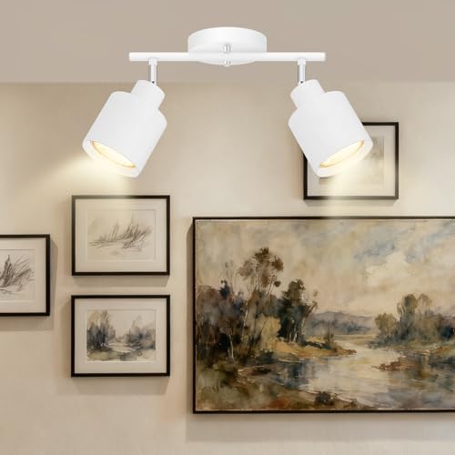 2 Light Led Track Lighting (2 light White)