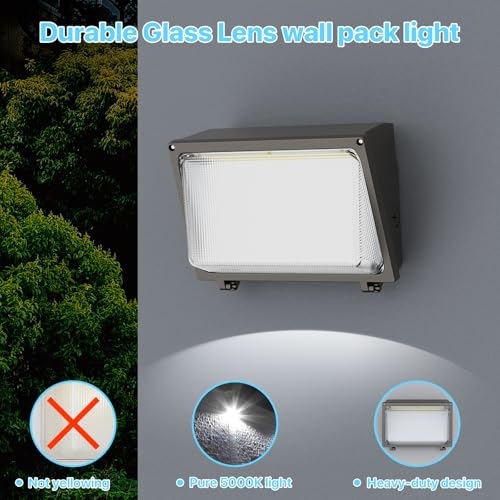 LED Wall Pack 120W (120W)