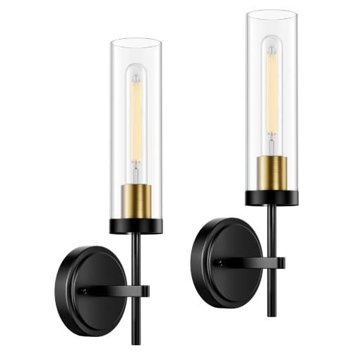 Wall Sconce Wall Light Fixtures with Clear Glass Shade