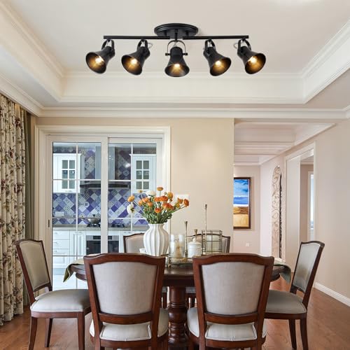 5 Light Track Lighting Kit (5-Light / Black)