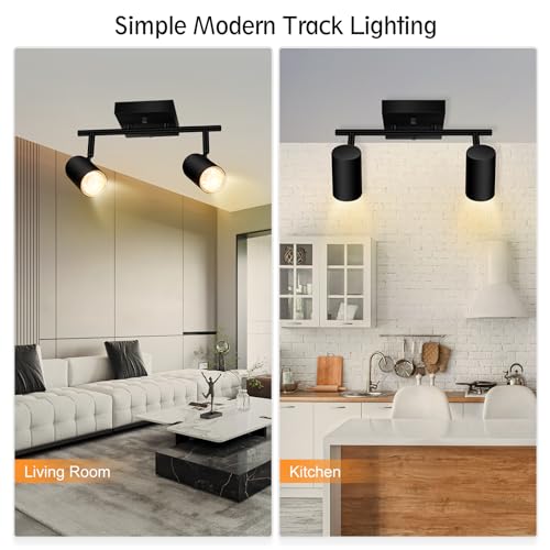 2 Light Track Lighting Kit (2 light-black)